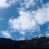 2019年を振り返って