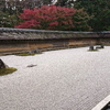 京都国宝と紅葉の旅「龍安寺その二　石庭」