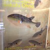 大野麦風展・「大日本魚類画集」と博物画にみる魚たち