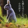 【読書感想】小川洋子さん著「いつも彼らはどこかに」ひっそりつつましく生きる人間や言葉を超えた心の通じ合いなどを描いた、美しくて心温まる短編集