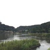 横浜の庭園を巡る。三溪園、山手イタリア山庭園、山手公園、横浜公園 日本庭園など