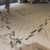 【子育て】雪の帰り道