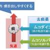 風邪・インフル・コロナのつらい鼻水、去痰薬なら【ムコダインジェネリック】が良コスパ！