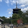 【奈良】古都を巡る旅　興福寺からお水取りで有名な二月堂へ