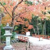 【京都】『下鴨神社』に行ってきました。 京都紅葉 京都観光 そうだ京都行こう