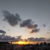 のんびり過ごす日曜日