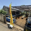 メダカ１匹５００円均一店