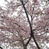 ♪J:COMからお届け、東葛人図鑑～