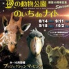 夜の動物公園　30周年企画