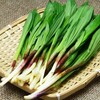 うめぇ～～行者ニンニクの大盛りパスタの夜ヾ(≧∇≦)