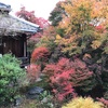 紅葉の京都旅行