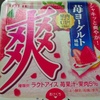 苺ヨーグルト味　アイスクリーム