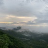 登ってみたシリーズ　金華山編