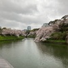 千鳥ヶ淵緑道の桜（2023年3月25日）