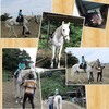 乗馬体験🐴　うさぎ組