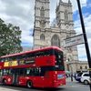 イギリスの政策