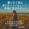 ★翼のある鳥は 翼を持っているという幸福に気付かない★