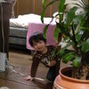 　福島の竜騎士