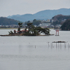 湖山池（鳥取県鳥取）