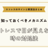 ストレスで目が見えない時の対処法【ストレスのサインと解消法まとめ】