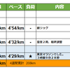 週報：第９週：東京マラソンは３時間９分２８秒でした