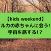 【kids weekend】イルカの赤ちゃんに会う！？宇宙を旅する！？