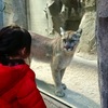 この動物園がすごかった（冬の神戸旅行記②「どうぶつ王国」）