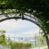 晴海緑道公園、晴海ふ頭公園ランニング〜Site of The Tokyo 2020〜