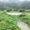 まとまった雨