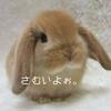 □寒かった