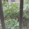 今日は　愚痴全開です