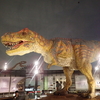 福井県福井市　恐竜博物館に行く！～イメージと比較して楽しむ子供たち～