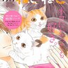 月刊ねこねこ