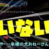 【悪魔城ドラキュラHD ハーモニー オブ ディスペアー】「名曲失われた彩画とともに」完全初見でクリアを目指すぼっち　第８章　初見パート【ゆっくり実況】その１７