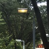 （紹介：施設）東京都庁そばにある街灯を紹介します