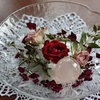 Belle Roseの波動バラその後