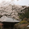 大町　「妙本寺」そして春戯at棚田