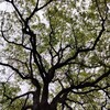 引っ越し直後の色々な手続き