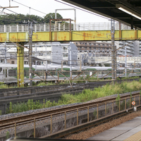 ８月23日　E257系5000番台OM-91編成が東海道線を回送される(?)