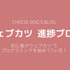 初心者がウェブカツでプログラミング学習を始めて７ヶ月！