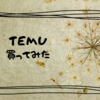 TEMU（ティームー）激安通販