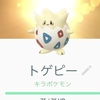 キラポケモン目指して交換してみた！【旧正月イベント】