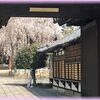 京の花見散歩 千本釈迦堂と西陣地区の桜2022