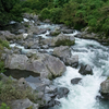 入山瀬　巡検