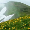 鳥海山ー残雪と花の季節ー