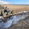 北海道・釧路市で起きた焼死体、海岸で発見された性別不明の遺体