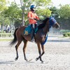 【一口馬主／カネラフィーナ】いよいよデビュー！今年の初勝利は君に託した！
