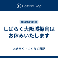 カメラ