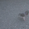 自分の感覚を信じる