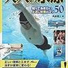 今週のお題「海」